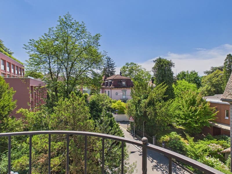 Altbau-Charme trifft auf modernen Luxus - Einzigartige 4.5-Zimmer-Wohnung mit Garten & Cheminée in 8008 Zürich (15)