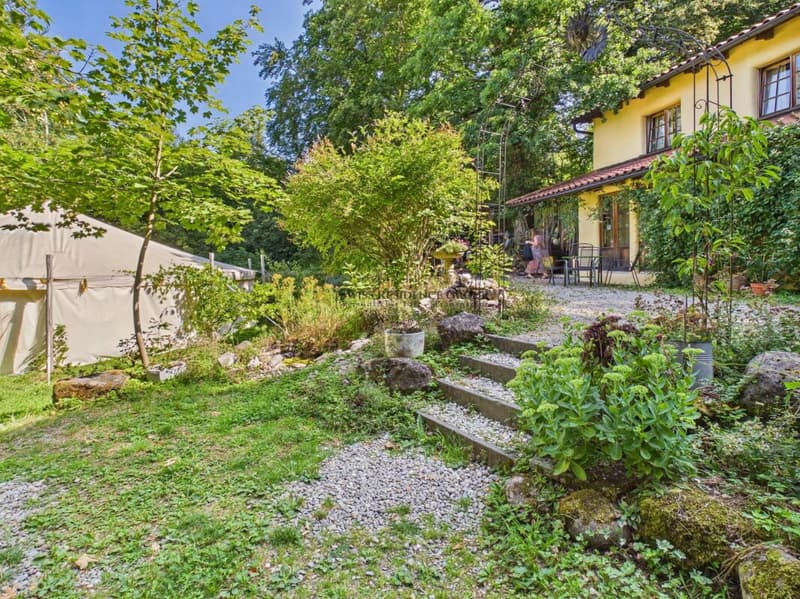 Im Sonnenbühl Uetliberg
