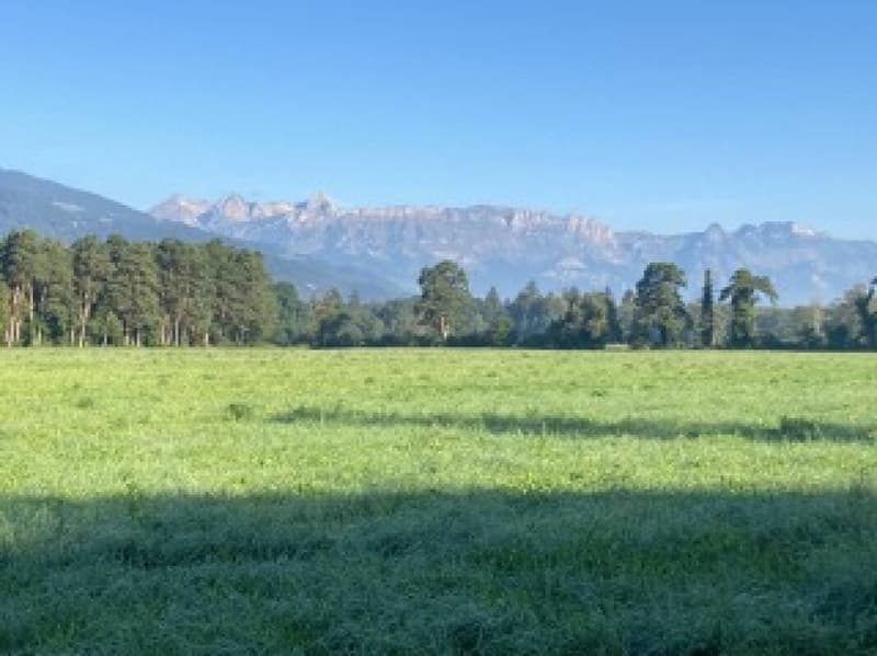 Gepflegte Liegenschaft mit einer top Rendite und Bergsicht (11)