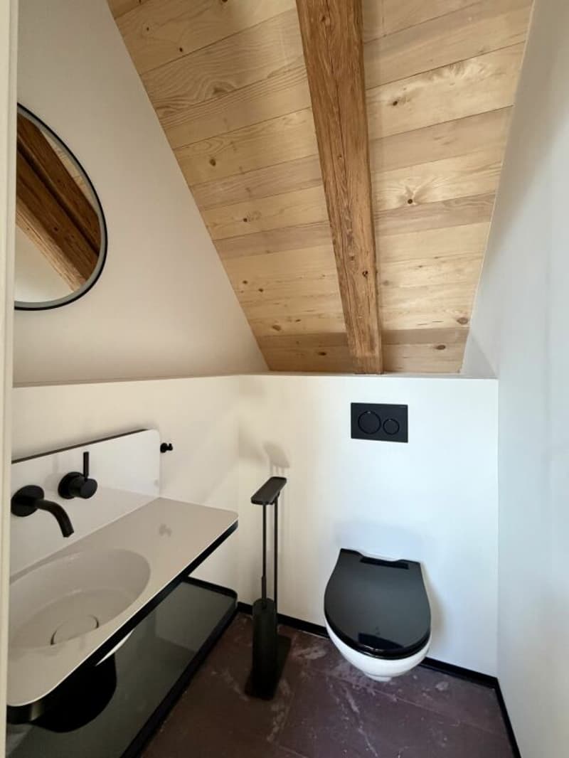 Exklusives Penthouse mit zwei Loggien - Leben zwischen Natur und Stadt (12)