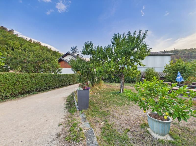Einfamilienhaus mit Garten- ideal für Gartenliebhaber (3)
