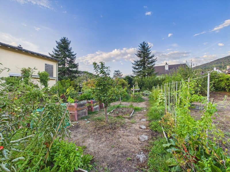 Einfamilienhaus mit Garten- ideal für Gartenliebhaber (4)
