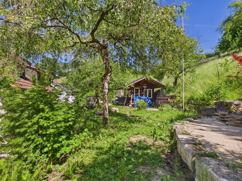 Grosszügiges 6.5-Zimmer-Einfamilienhaus mit Traumgarten in Wettingen (17)