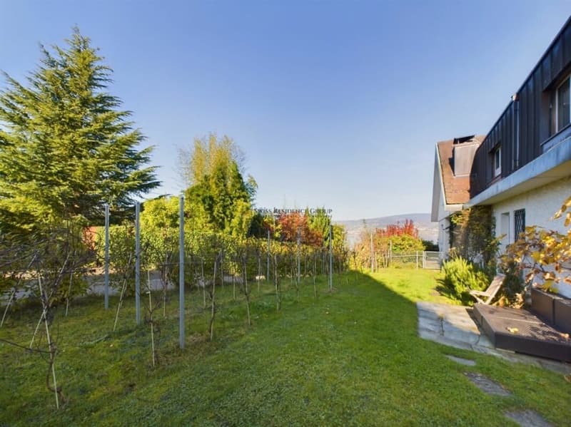 Villa mit Charakter, Seesicht und aussergewöhnlicher Flexibilität (3)