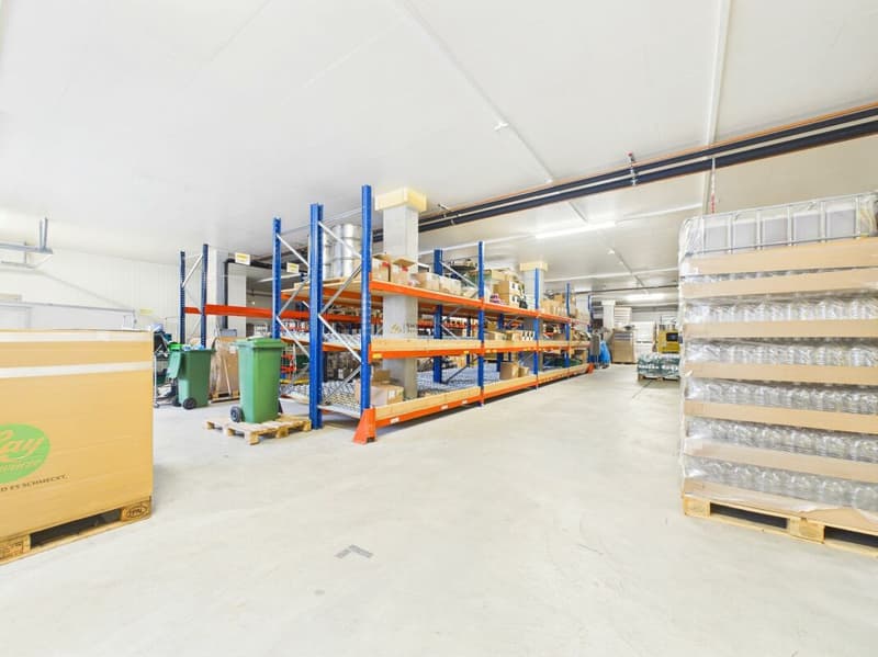 Vielseitige, modernisierte Gewerbe- und Produktionsflächen in Stein AR zu vermieten. (11)