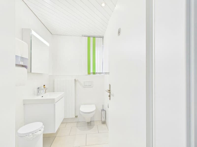 Vielseitige, modernisierte Gewerbe- und Produktionsflächen in Stein AR zu vermieten. (6)