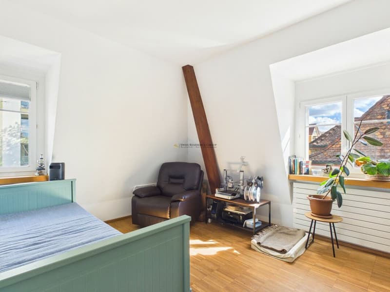 Sonniges urbanes Juwel mit Weitblick (7)