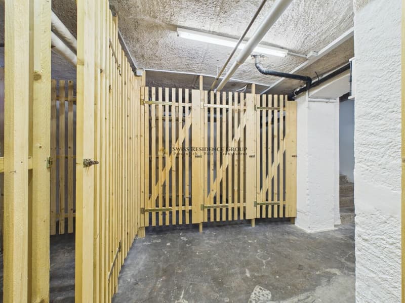 9.5-Zimmer-Villa - Grosszügigkeit, Vielseitigkeit und Raum (31)