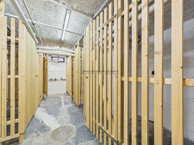 9.5-Zimmer-Villa - Grosszügigkeit, Vielseitigkeit und Raum (30)