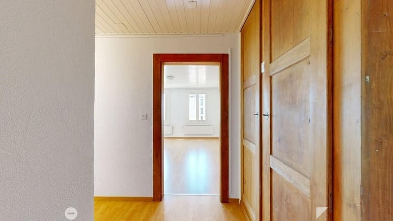 Solothurnstrasse-10-Eingang-mit-Wandschrank.jpg
