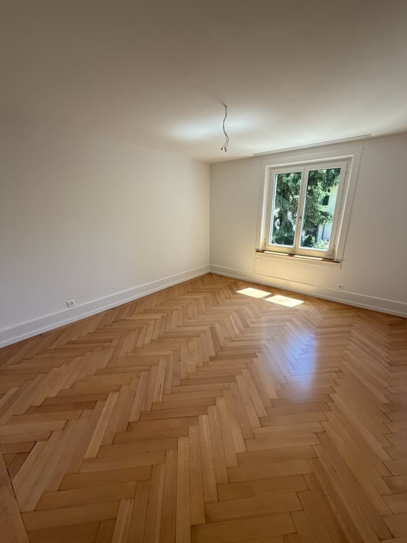 Zimmer_links.jpeg