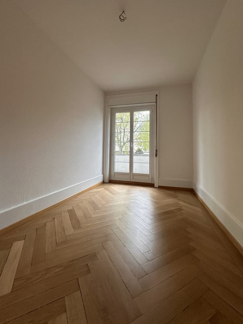 Zimmer1.jpg