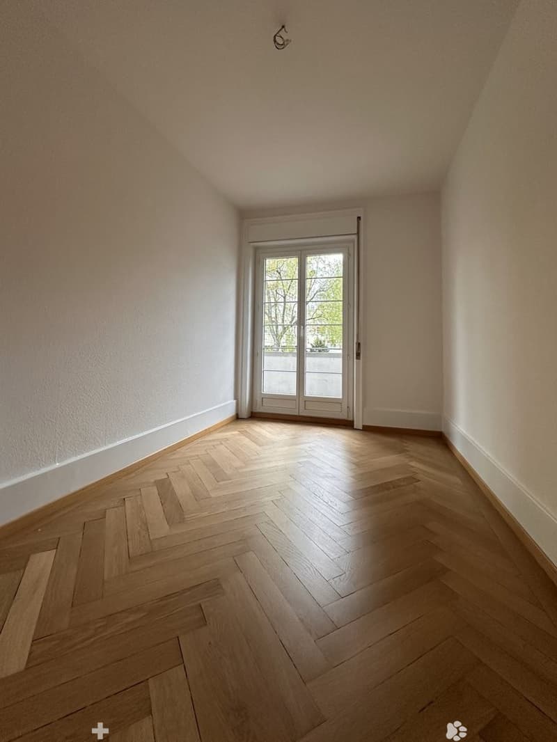 Zimmer1.jpg