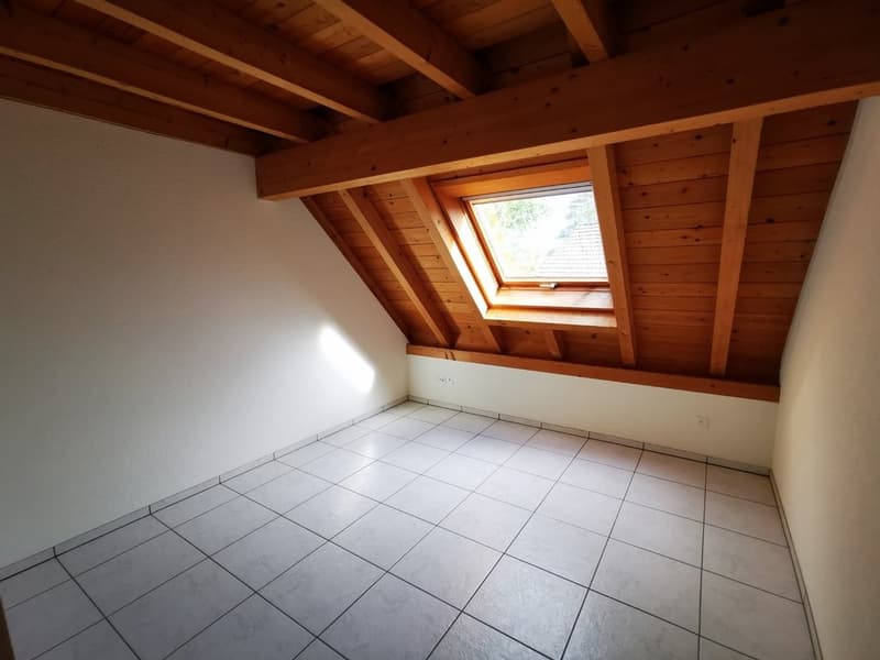 Zimmer_1.0.jpg
