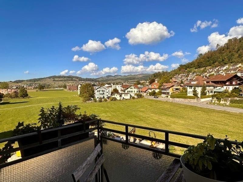 Aussicht_von_Kuechenbalkon.jpg