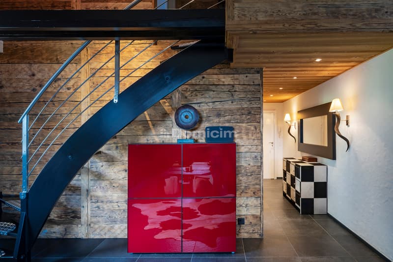 Superb 4.5-room duplex apartment (5)