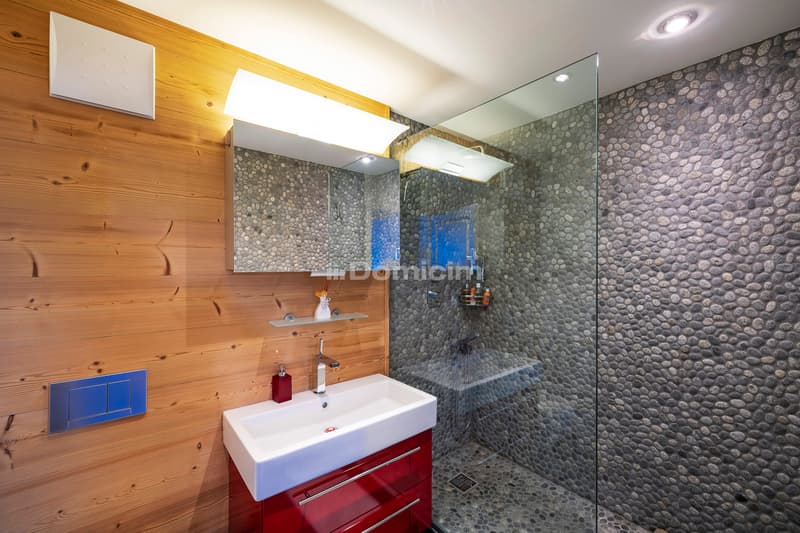 Superb 4.5-room duplex apartment (12)