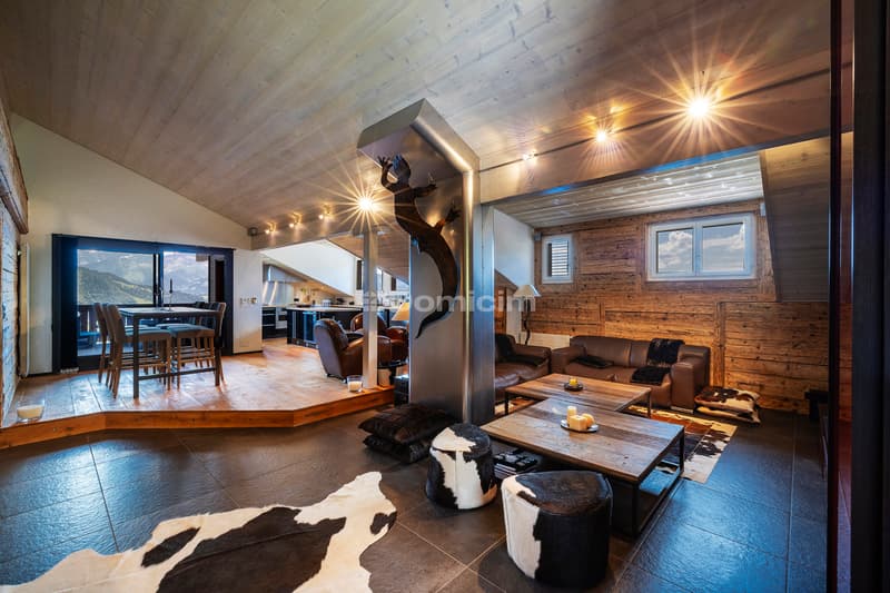 Superb 4.5-room duplex apartment (2)