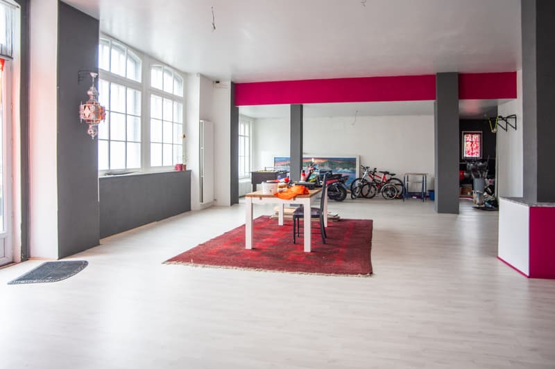 Renovated building with large independent space (10)