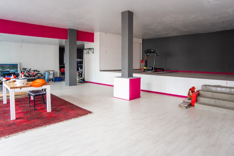 Renovated building with large independent space (11)