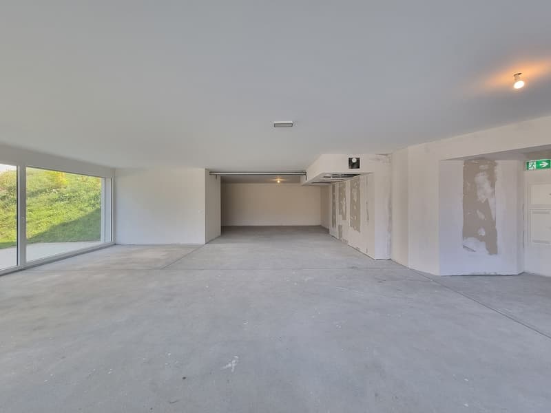 NEW ! 131 m² COMMERCIAL SPACE WITH TERRACE-GARDEN (4)
