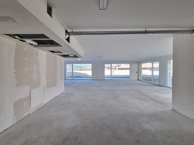 NEW ! 131 m² COMMERCIAL SPACE WITH TERRACE-GARDEN (7)