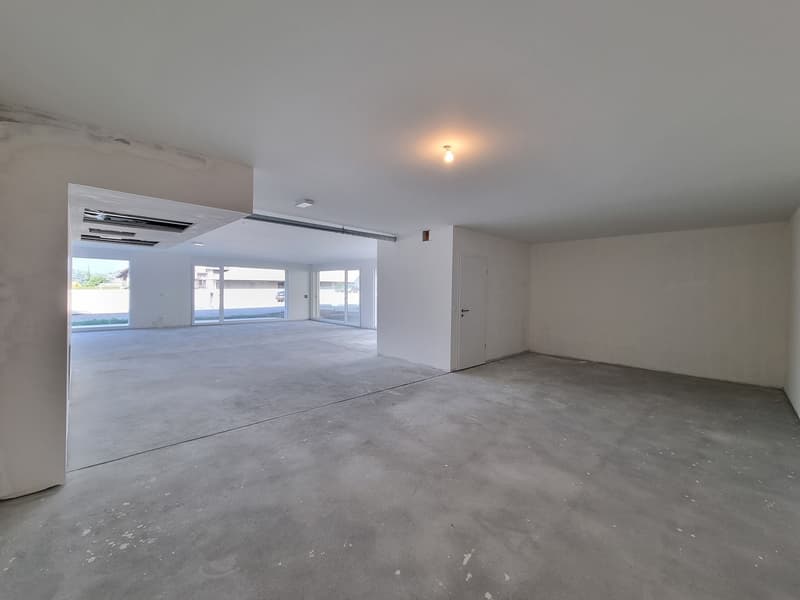 NEW ! 131 m² COMMERCIAL SPACE WITH TERRACE-GARDEN (2)