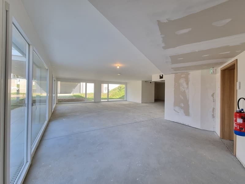 NEW ! 131 m² COMMERCIAL SPACE WITH TERRACE-GARDEN (3)