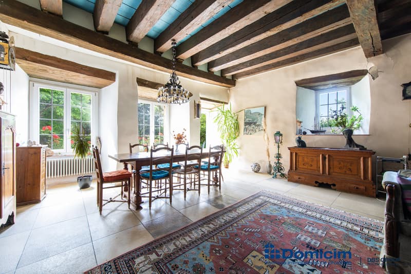 Authentic character house with 7 apartments (5)