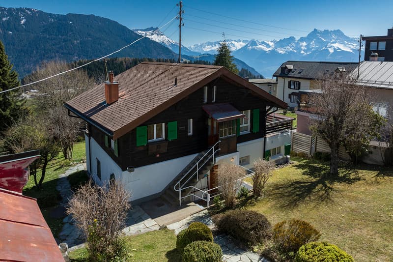 Charming chalet ideally located with 3 apartments (1)