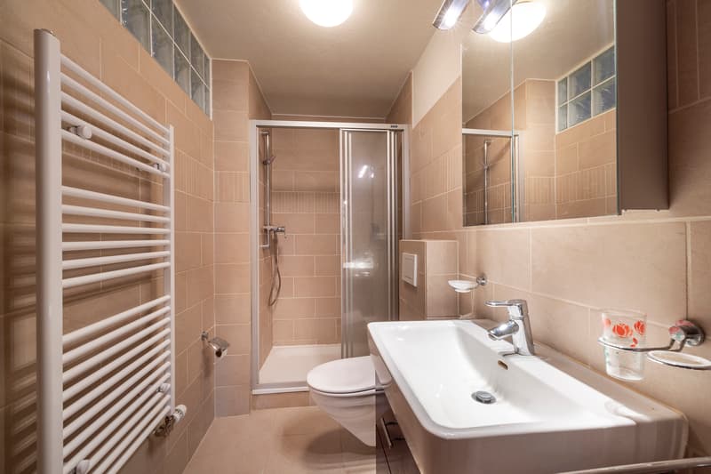 Charming chalet ideally located with 3 apartments (8)