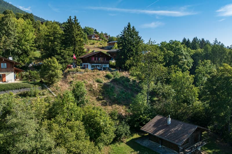 YOUR CHALET TO BUILD, 15 MINUTES FROM SION ON THE HEIGHTS! (3)