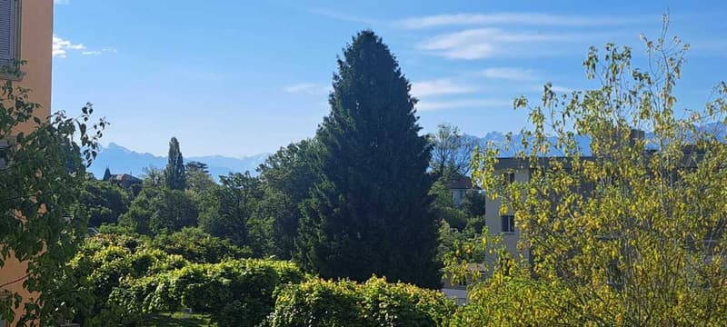 Ampio appartamento di 2.5 locali con balcone, ESCLUSIVITÀ (7)