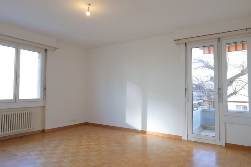 Ampio appartamento di 2.5 locali con balcone, ESCLUSIVITÀ (2)