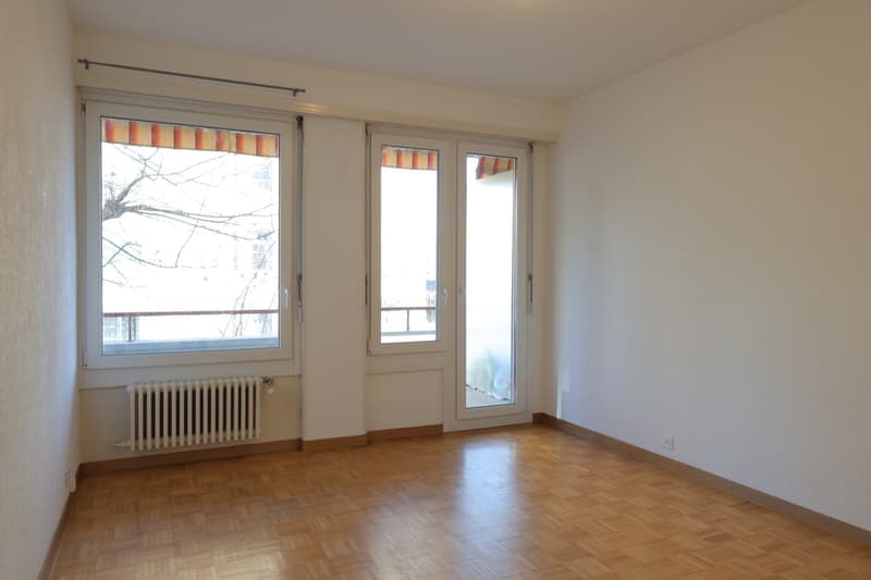 Ampio appartamento di 2.5 locali con balcone, ESCLUSIVITÀ (3)