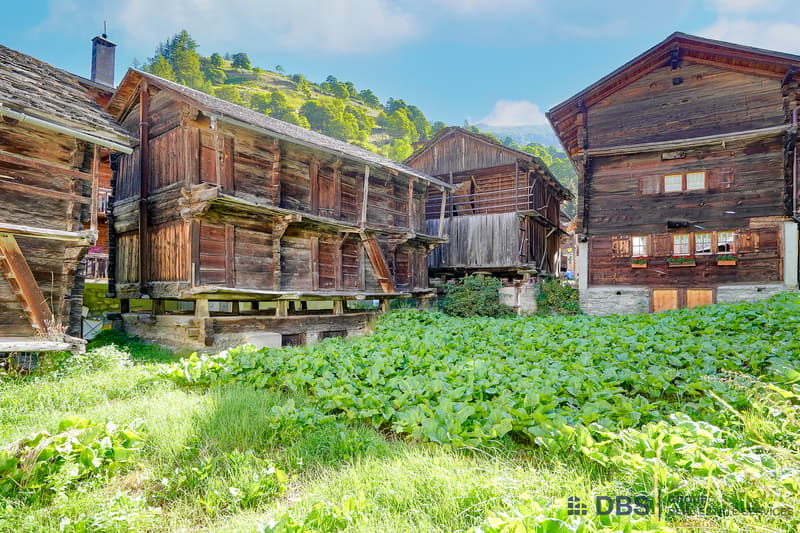 Your Alpine Refuge to Reinvent (6)