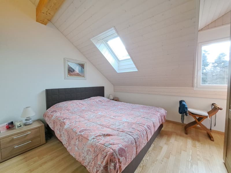 3.5 room apartment in the heights of Lausanne (5)