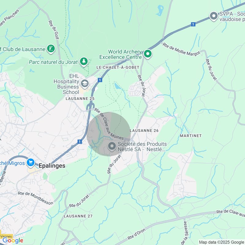 3.5 room apartment in the heights of Lausanne (10)