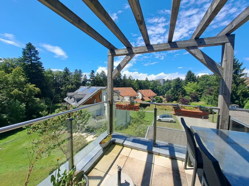 3.5 room apartment in the heights of Lausanne (8)