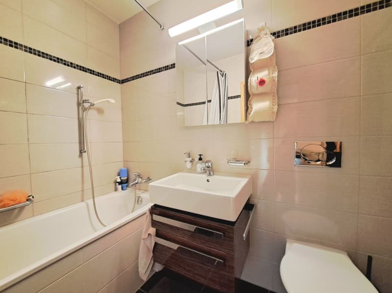 3.5 room apartment in the heights of Lausanne (7)