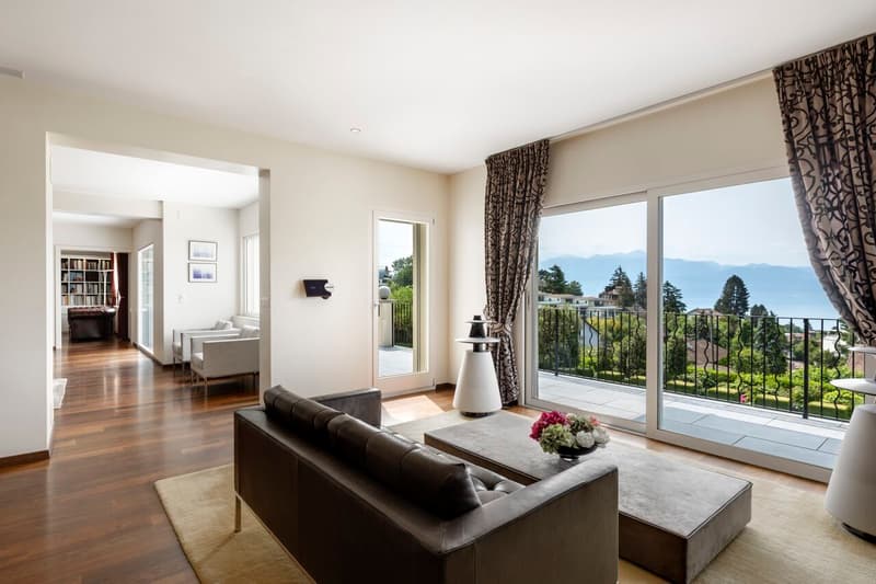 A blend of elegance and character for this Lausanne property (6)