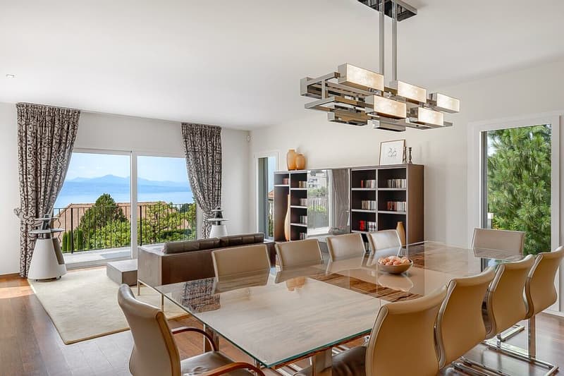 A blend of elegance and character for this Lausanne property (7)