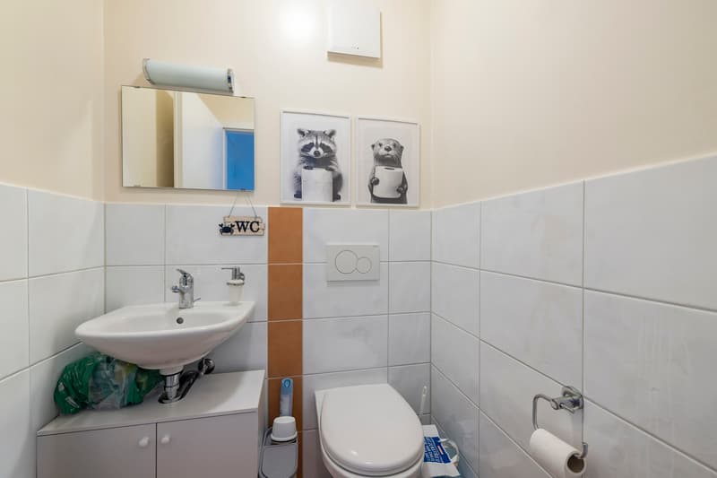 Grande appartamento contemporaneo in un quartiere residenziale affascinante (13)