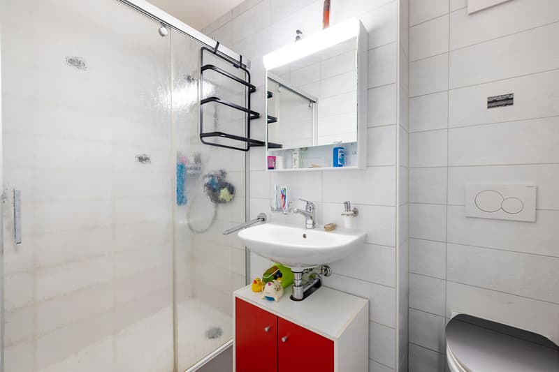 Grande appartamento contemporaneo in un quartiere residenziale affascinante (11)