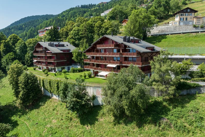 Bell'appartamento di 2.5 locali al piano terra con terrazza e vista splendida! (5)