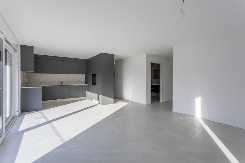 Appartamento di 4,5 locali con parcheggio sotterraneo  LOT 6 (2)