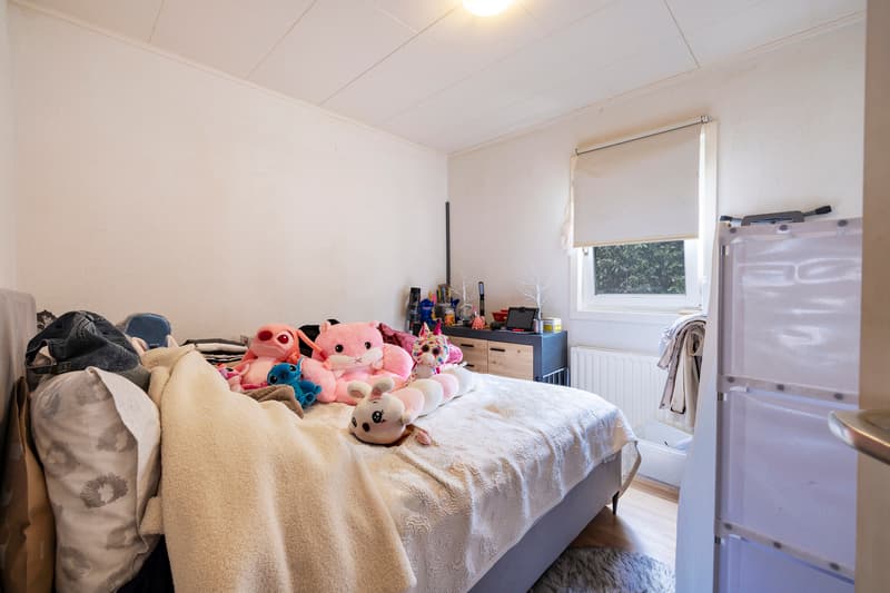 Two rented ground-floor apartments with terrace and parking (9)