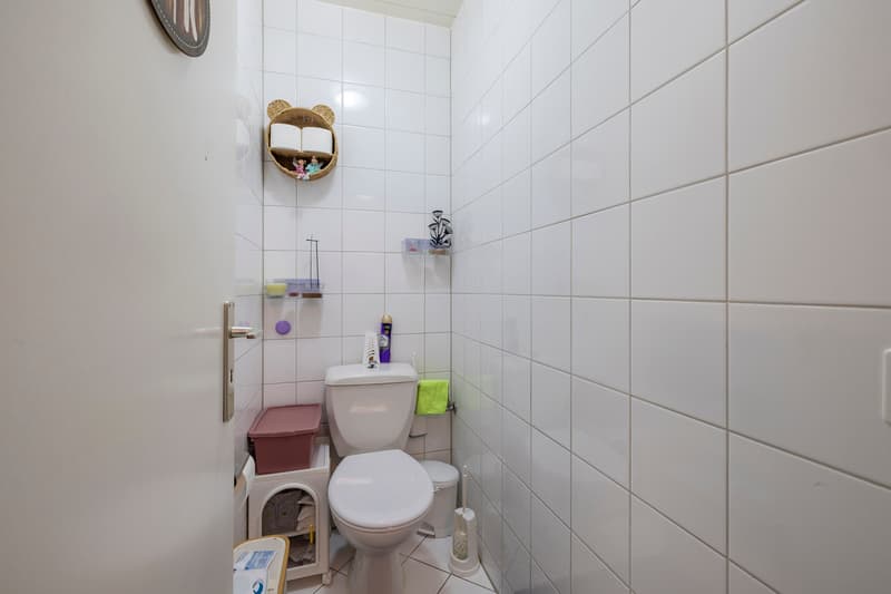 Two rented ground-floor apartments with terrace and parking (11)
