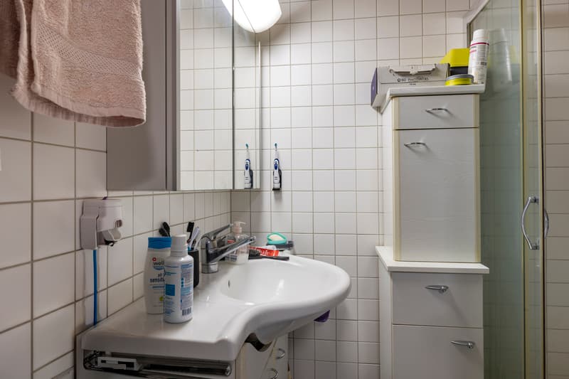 Two rented ground-floor apartments with terrace and parking (6)