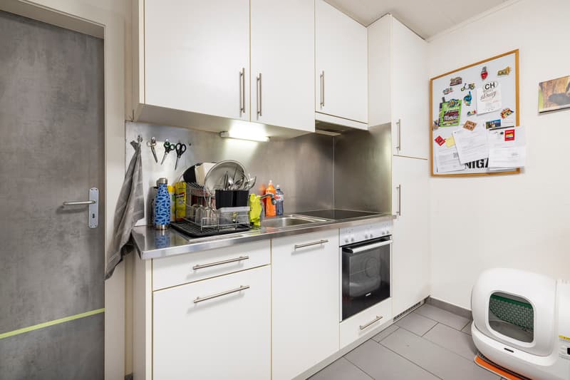 Two rented ground-floor apartments with terrace and parking (3)